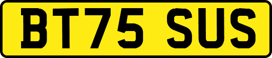 BT75SUS
