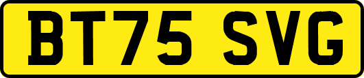 BT75SVG