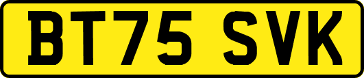 BT75SVK