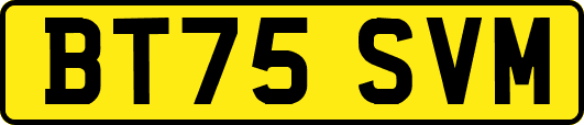 BT75SVM