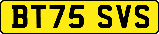BT75SVS