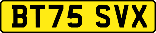 BT75SVX