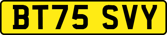 BT75SVY