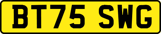 BT75SWG