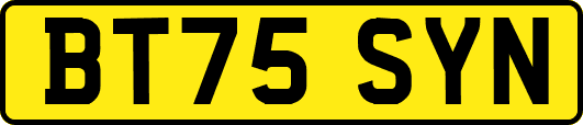 BT75SYN
