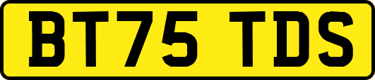 BT75TDS