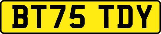 BT75TDY