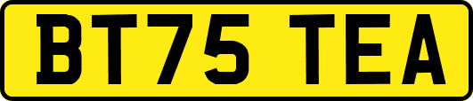 BT75TEA