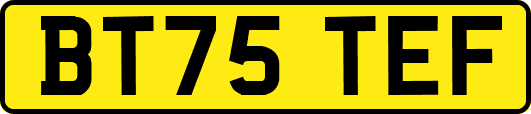 BT75TEF