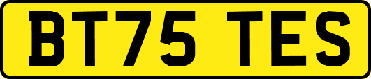BT75TES