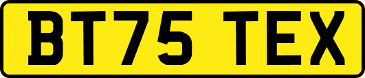 BT75TEX