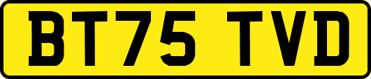 BT75TVD