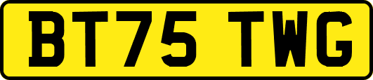 BT75TWG
