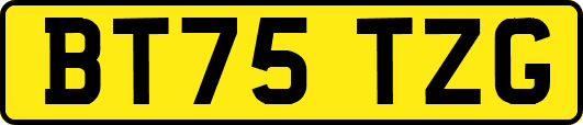 BT75TZG