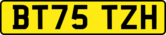 BT75TZH