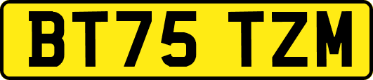 BT75TZM