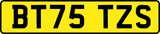 BT75TZS