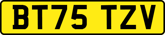 BT75TZV