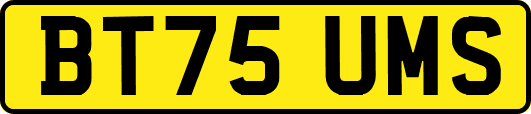 BT75UMS