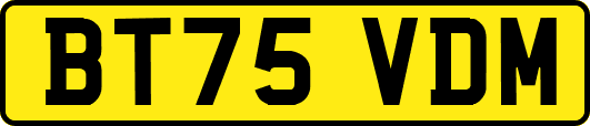 BT75VDM