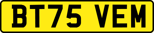 BT75VEM