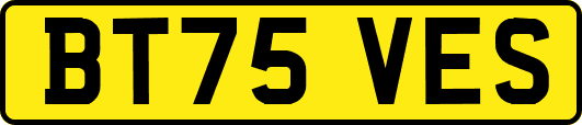 BT75VES