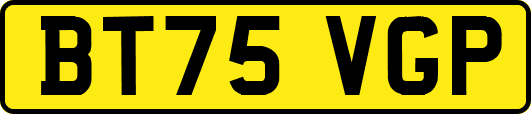 BT75VGP