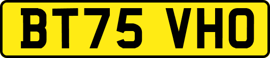 BT75VHO