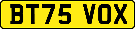 BT75VOX