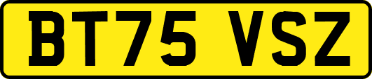 BT75VSZ