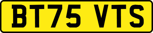 BT75VTS