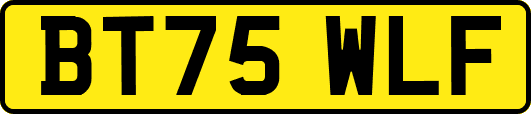 BT75WLF