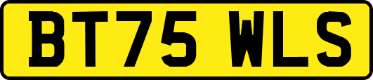BT75WLS