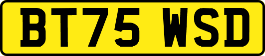 BT75WSD