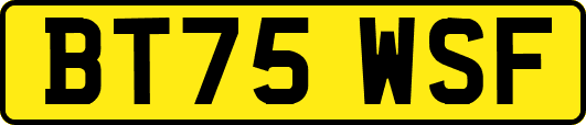 BT75WSF