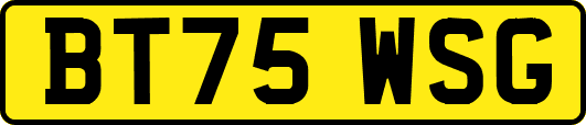 BT75WSG