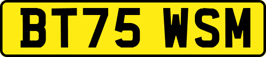 BT75WSM