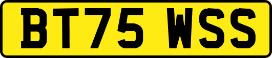 BT75WSS