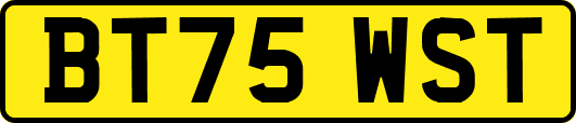 BT75WST