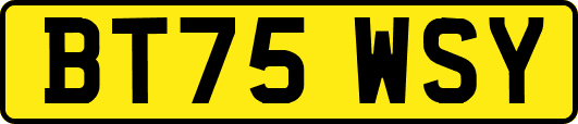 BT75WSY