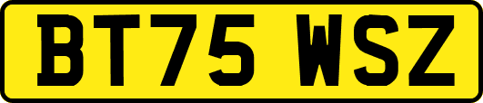 BT75WSZ