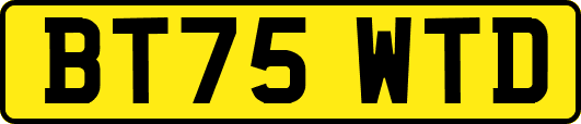BT75WTD