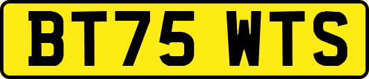 BT75WTS