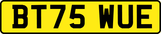 BT75WUE