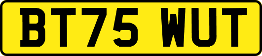 BT75WUT