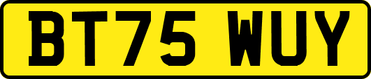 BT75WUY