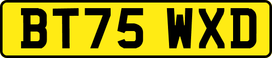 BT75WXD