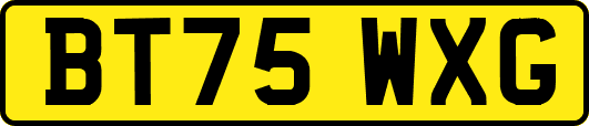 BT75WXG