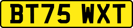 BT75WXT