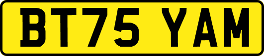 BT75YAM